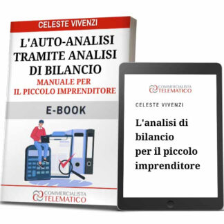 ebook Manuale per il piccolo imprenditore per l'auto-analisi tramite analisi di bilancio