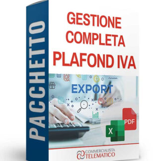 Gestione Completa Plafond IVA: eBook + 2 Tool Excel