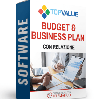 top value software budget e business plan